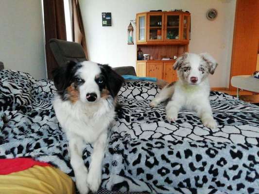 Vorher.... Nachher-Beitrag-Bild