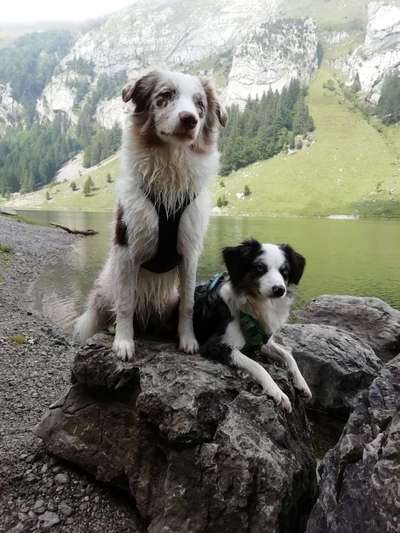 Vorher.... Nachher-Beitrag-Bild