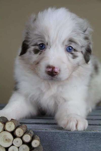 Vorher.... Nachher-Beitrag-Bild