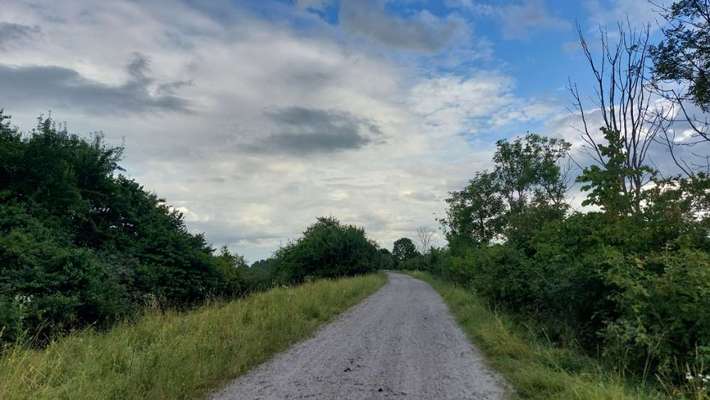 Hundeauslaufgebiet-Öberauer Schleife-Bild