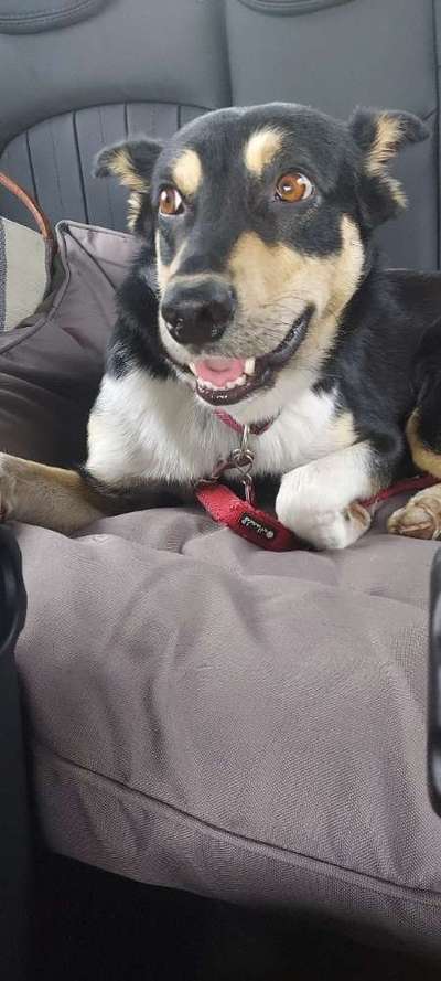 Fotochallenge 101:
On Tour-Beitrag-Bild