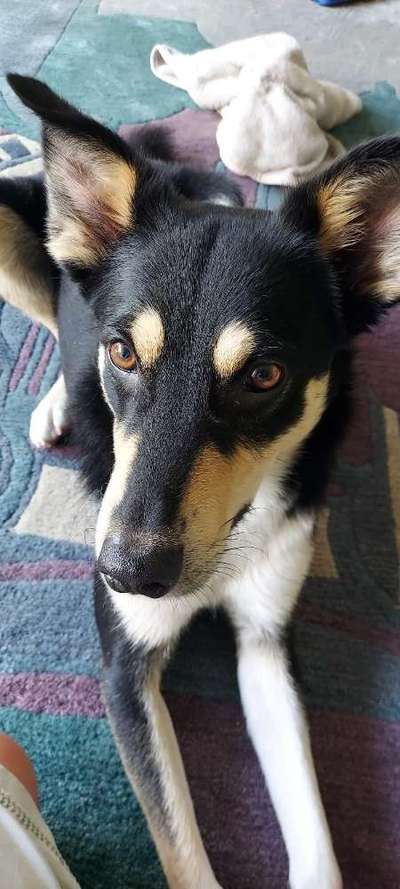 Handy-Foto Challange Nr. 10-Beitrag-Bild