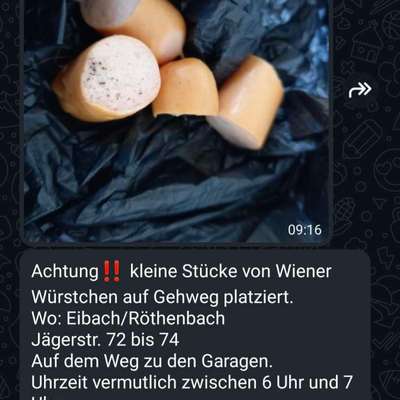 Giftköder-Wurst ausgelegt-Bild