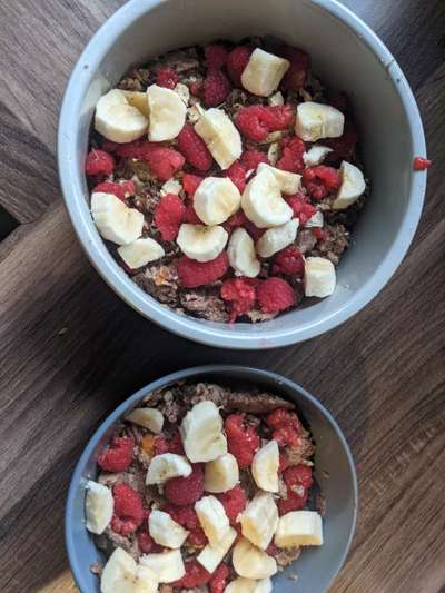 Zeigt her Eure Futternäpfe-Beitrag-Bild