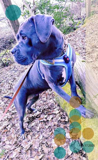 Auslastung an der Leine-Beitrag-Bild