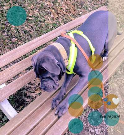 Auslastung an der Leine-Beitrag-Bild