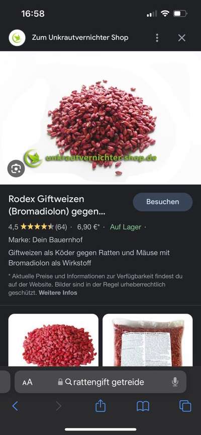 Giftköder-Rattengift-Bild