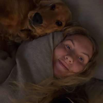 Hundetreffen-Spieltreffen🤎-Profilbild