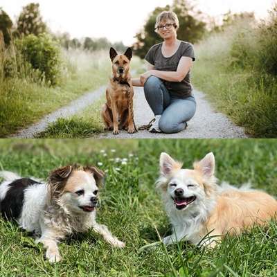 Hundeschulen-Petjamaro-Bild