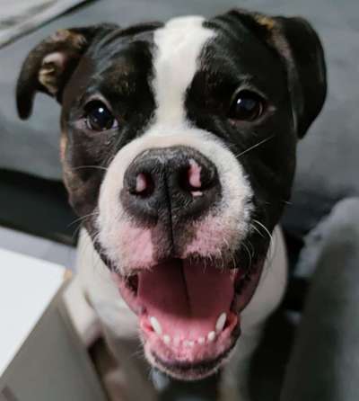 Fotochallange Nr. 57     PORTRÄT.   Beendet!!!!!!!!-Beitrag-Bild