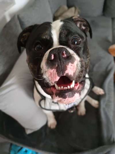 Das beste grinsefoto-Beitrag-Bild