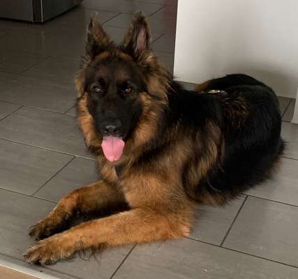 Doppelgänger gesucht !-Beitrag-Bild