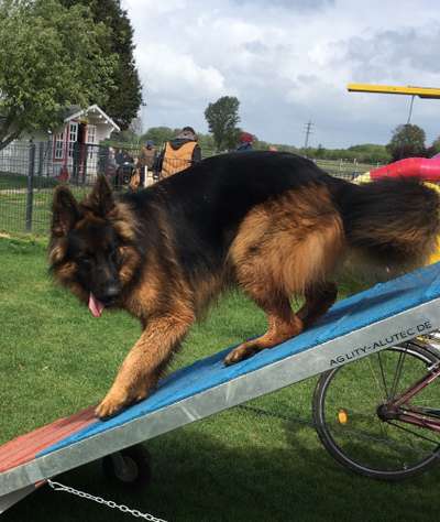 Doppelgänger gesucht !-Beitrag-Bild