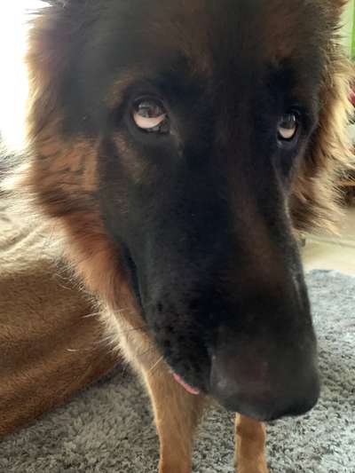 147. Foto Challenge: Bettelblick-Beitrag-Bild