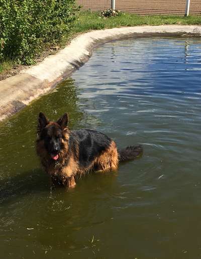 Theos Fotochallange Nummer 4-Beitrag-Bild