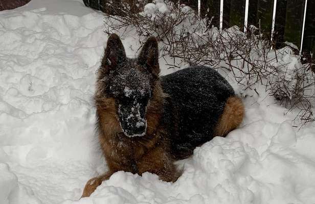 Der erste Schnee, zeigt uns eure tollen Schneemomente-Beitrag-Bild