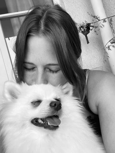 Dogorama Photo Challenge - Be my valentine-Beitrag-Bild