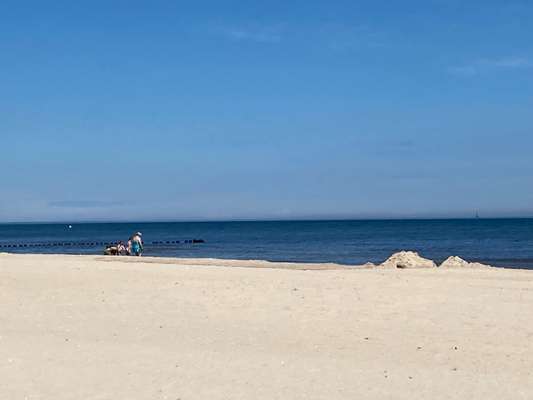 Ostsee mit Hund - Hundestrandnähe-Beitrag-Bild