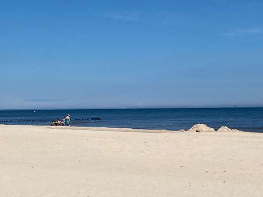 Ostsee mit Hund - Hundestrandnähe-Beitrag-Bild