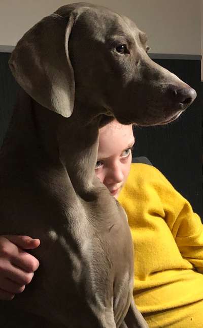 Fotochallenge Nr. 67: Euer Lieblingsbild-Beitrag-Bild