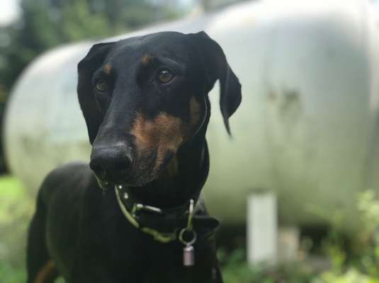 Fotochallenge Nr. 67: Euer Lieblingsbild-Beitrag-Bild