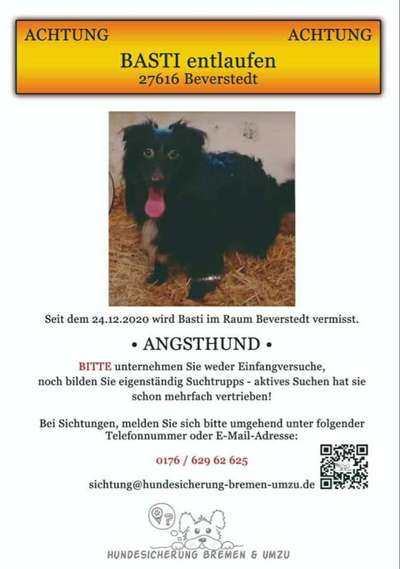 Suchmeldung-Basti-Bild