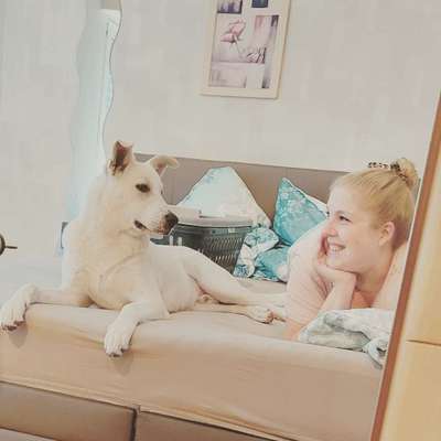 Lieblingsbild-Beitrag-Bild