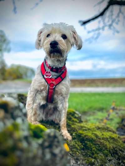 Austausch zur Fotografie-Beitrag-Bild