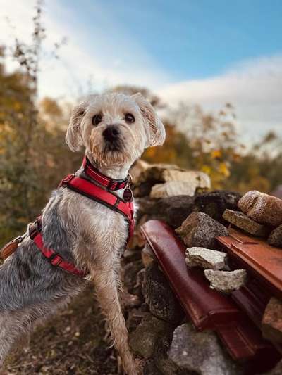 Austausch zur Fotografie-Beitrag-Bild