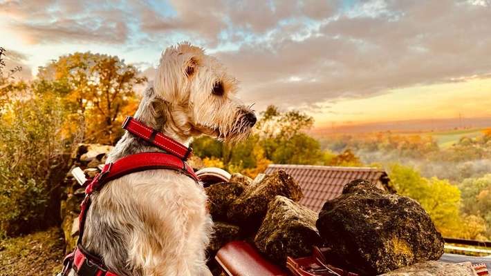 Austausch zur Fotografie-Beitrag-Bild