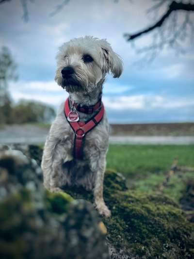 Austausch zur Fotografie-Beitrag-Bild