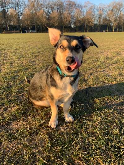 Fotowettbewerb Natur-Beitrag-Bild