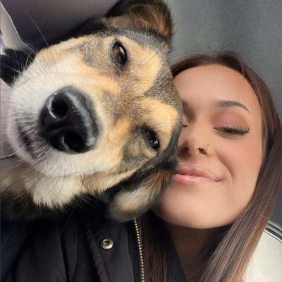 Hundetreffen-Gassirunde, kennenlernen-Bild
