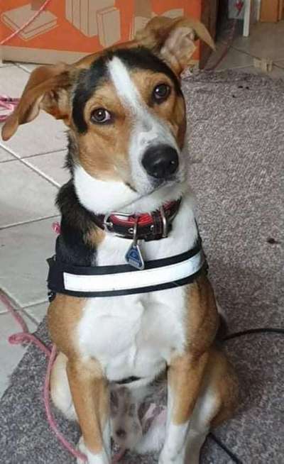 Lieblingsbild-Beitrag-Bild