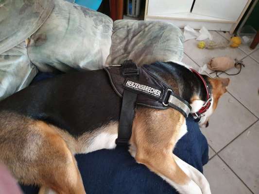 CHALLENGE NR. 34 - Liege-/Schlafpositionen-Beitrag-Bild