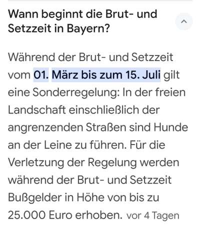 Was würdest du jetzt anders machen?-Beitrag-Bild