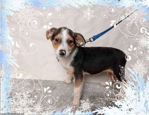 Sie werden so schnell erwachsen ...-Beitrag-Bild