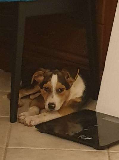 Sie werden so schnell erwachsen ...-Beitrag-Bild