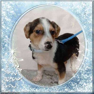 Sie werden so schnell erwachsen ...-Beitrag-Bild