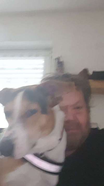 Challenge 33 - Du und dein Hund-Beitrag-Bild