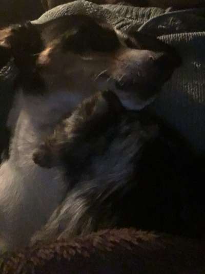 Was hat euch heute gefreut?-Beitrag-Bild