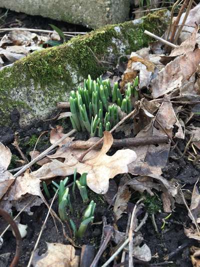 Was hat euch heute gefreut?-Beitrag-Bild