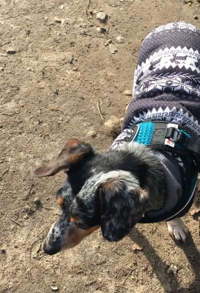 69. Handy-Fotochallenge: Soundtrack-Beitrag-Bild