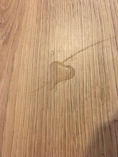 Was hat euch heute gefreut?-Beitrag-Bild