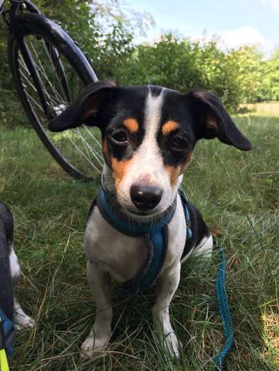 Fotochallenge Glanzbilder,du glänzt so schön-Beitrag-Bild