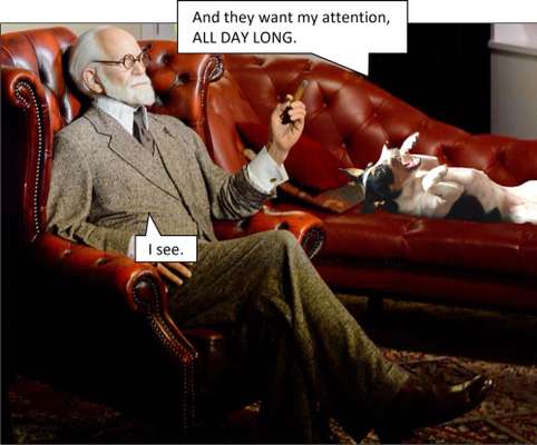 Photomontagen mit Hund-Beitrag-Bild