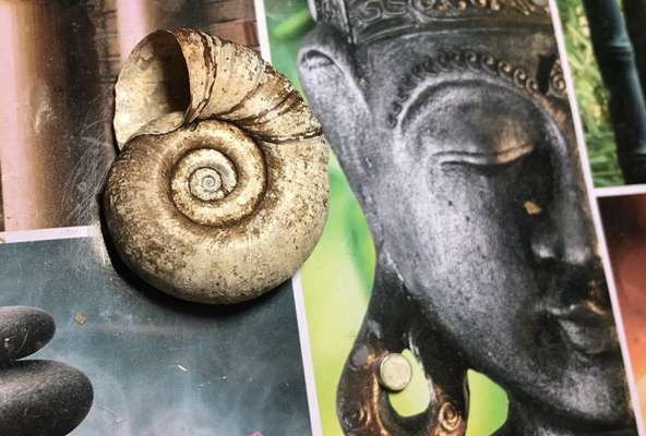 Was hat euch heute gefreut?-Beitrag-Bild