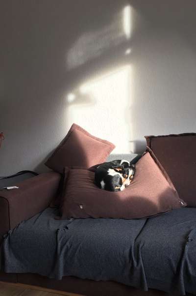 Schlafzeit!💖-Beitrag-Bild