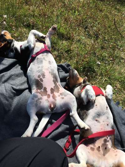 Lieblingsbild-Beitrag-Bild