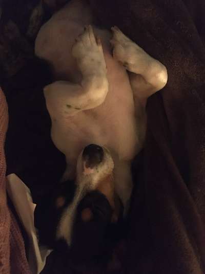 Was hat euch heute gefreut?-Beitrag-Bild